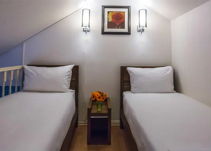 سينترال سيتي